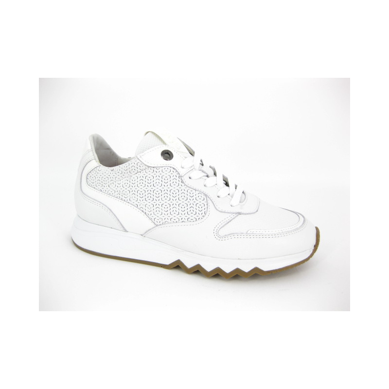 Floris Van Bommel Sneaker Wit