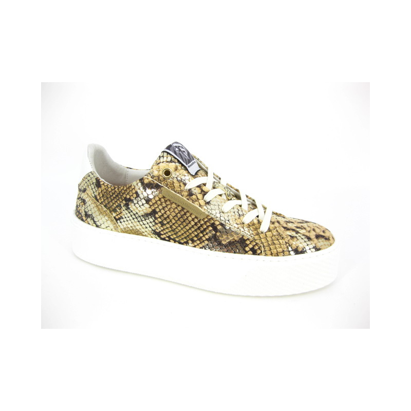 Floris Van Bommel Sneaker Goud