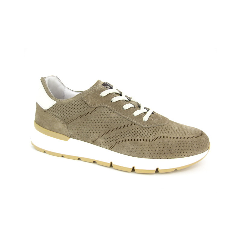 Nero Giardini Sneaker Taupe