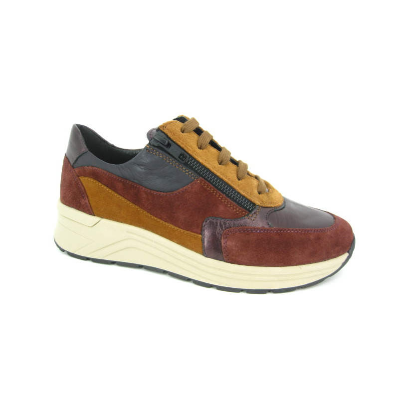 Solidus Sneaker Bordeau